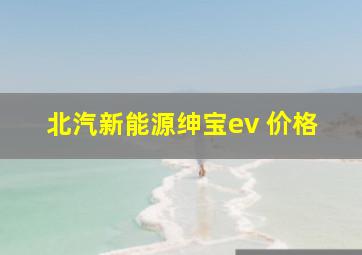 北汽新能源绅宝ev 价格